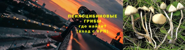 2c-b Нефтегорск