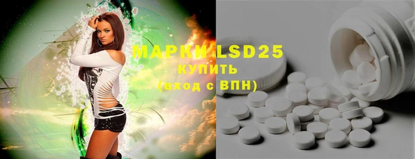 гашик Нея