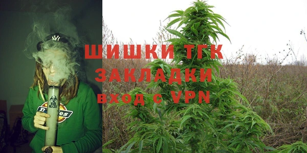 гашик Нея