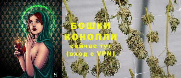 гашик Нея