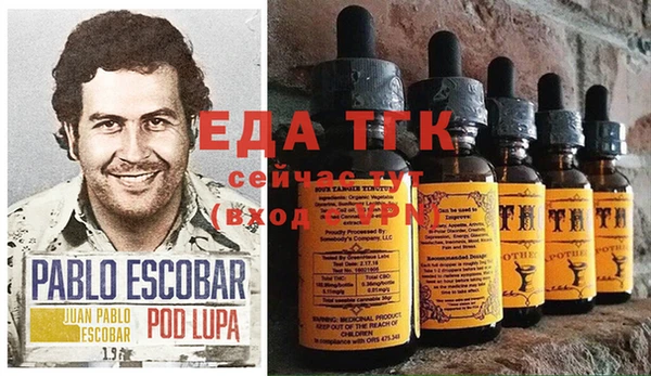 гашик Нея