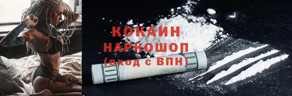 гашик Нея
