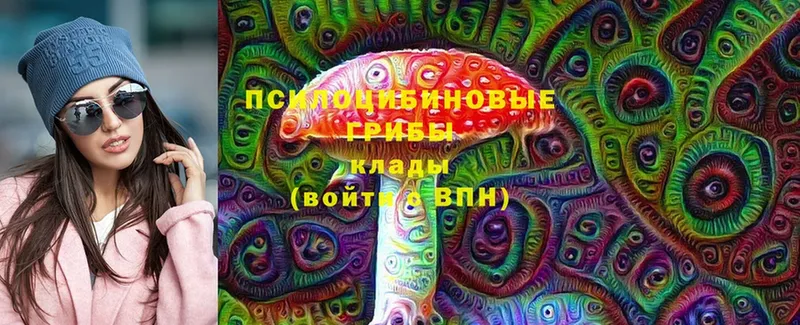 Галлюциногенные грибы Psilocybe  Красновишерск 