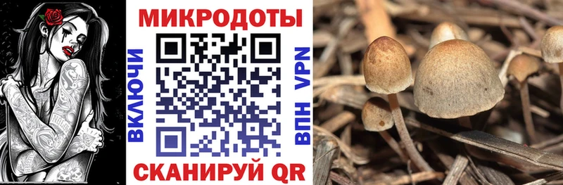Галлюциногенные грибы MAGIC MUSHROOMS  Красновишерск 